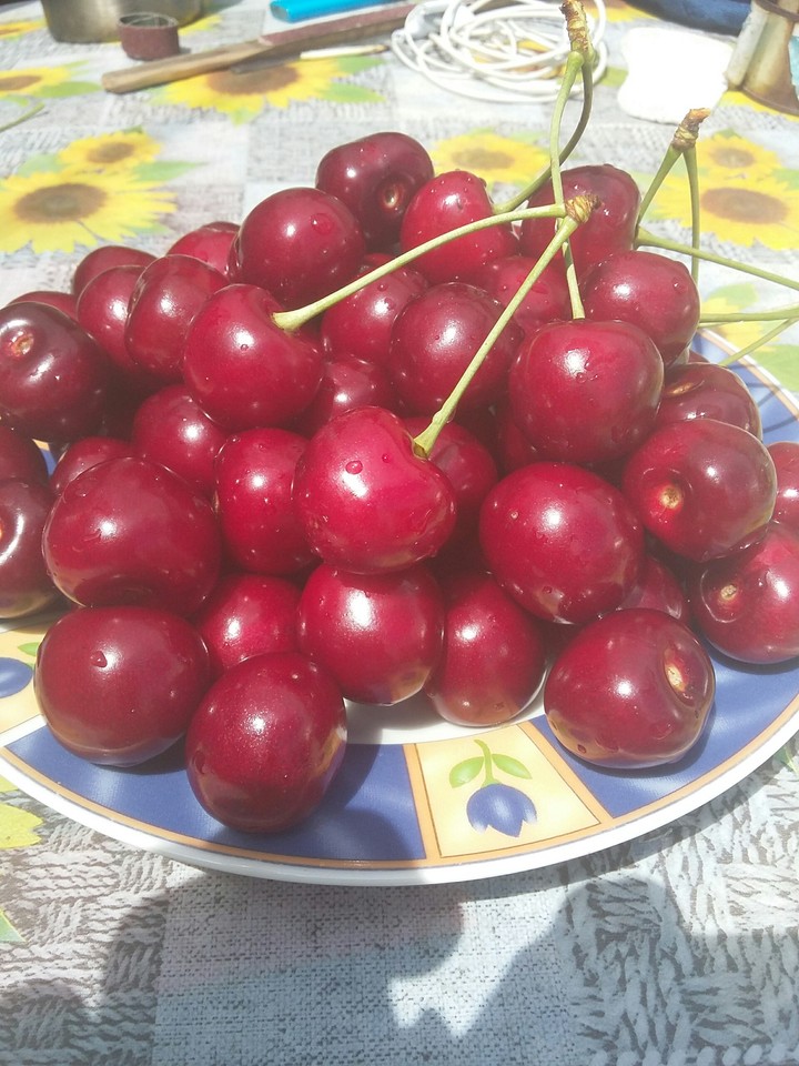 черешня