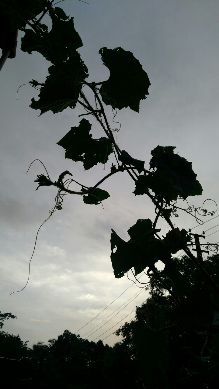 looking up..