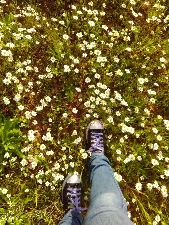 Walking in the flowers