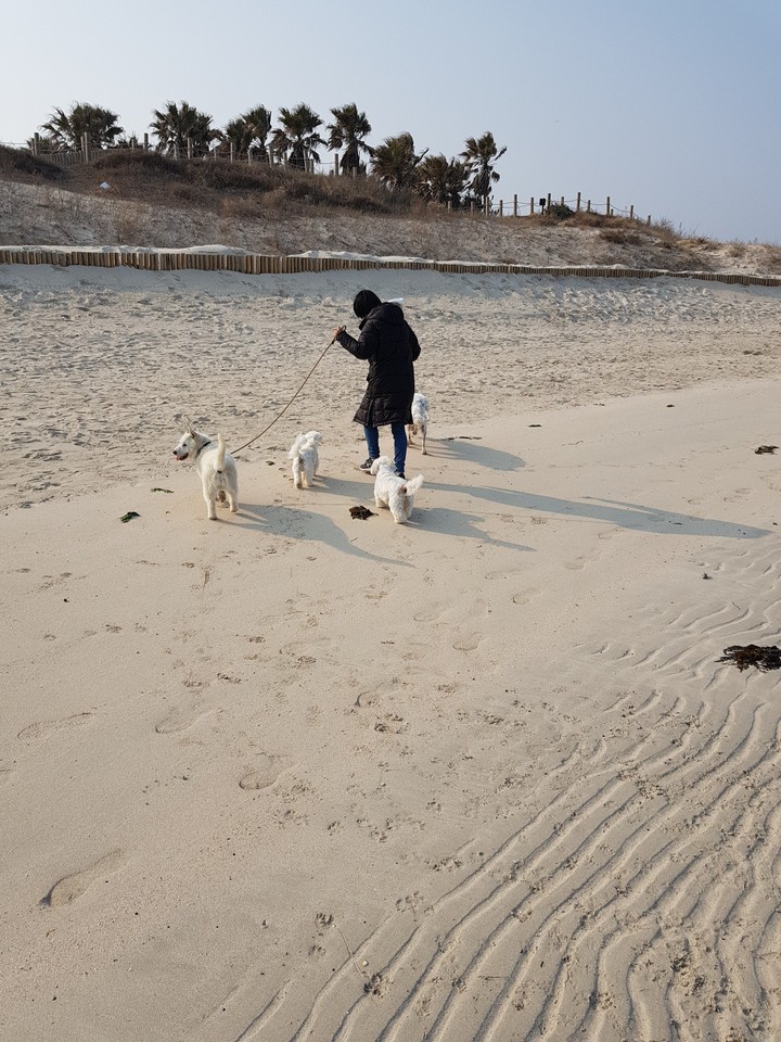 이쁜 협재 해변