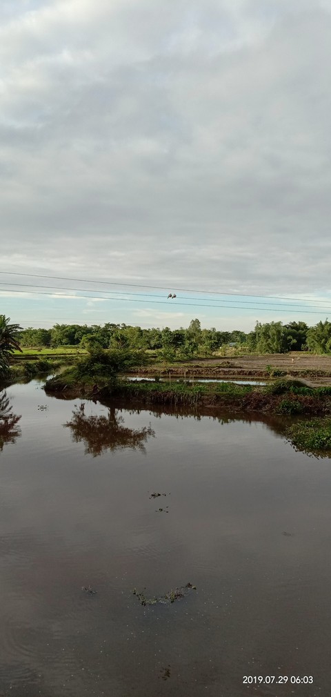 sfondi Bank, sky