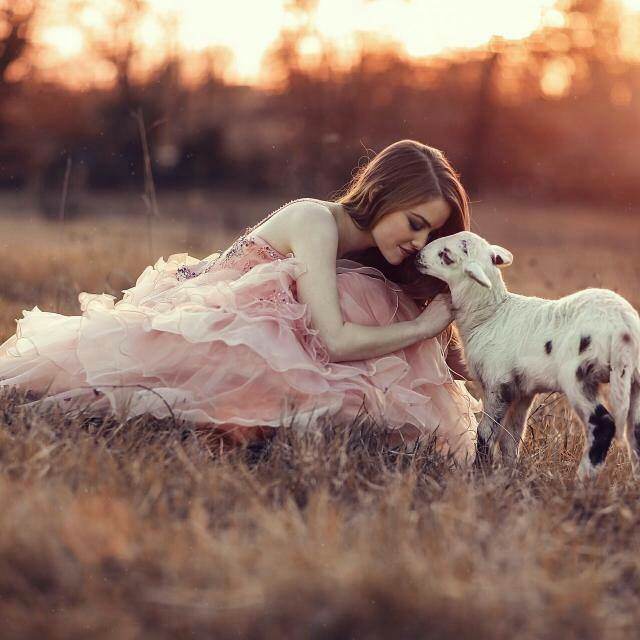 nice photo