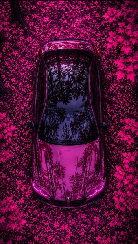 Red, Automotive_lighting, Hood