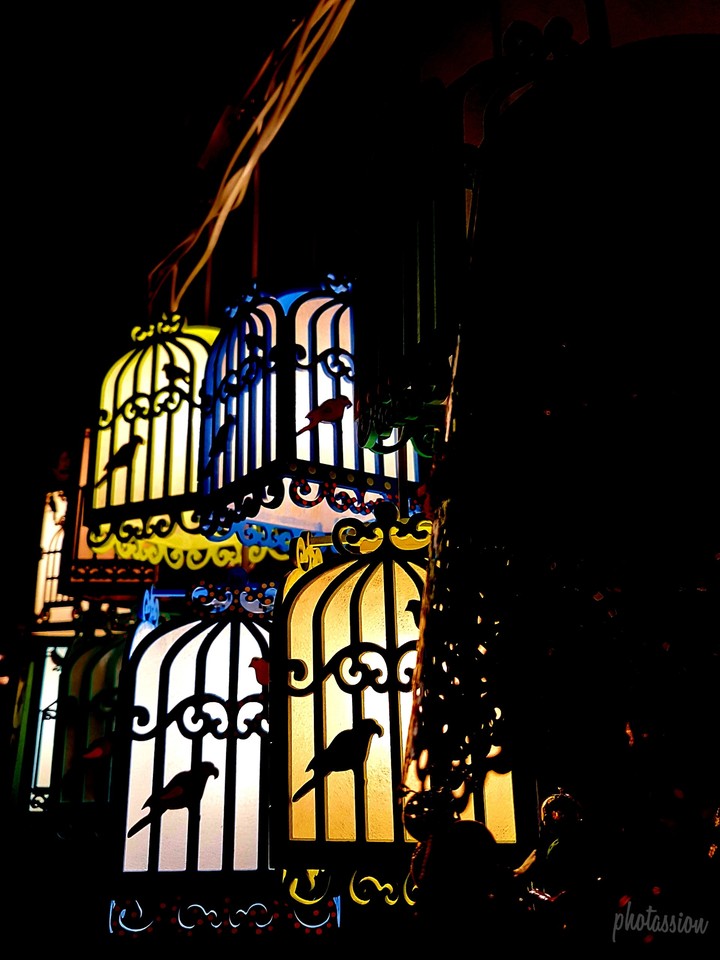 Birdcage