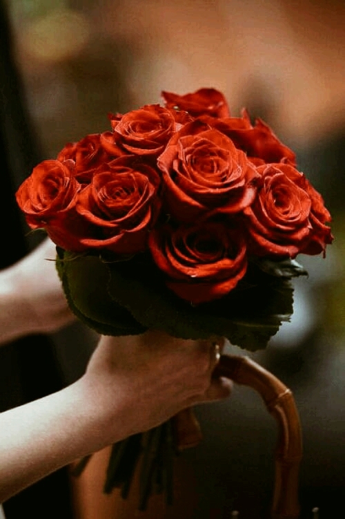 beautifull rose..... for me..!