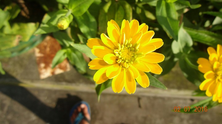 nature love