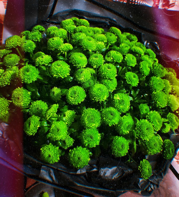 bouquets