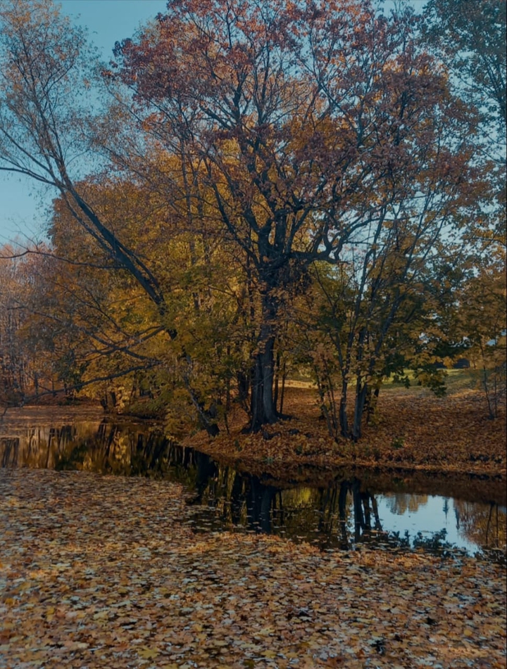 Осенний парк