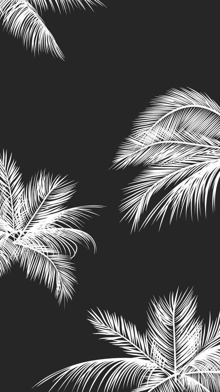 #wallpaper #обои #черный_белый