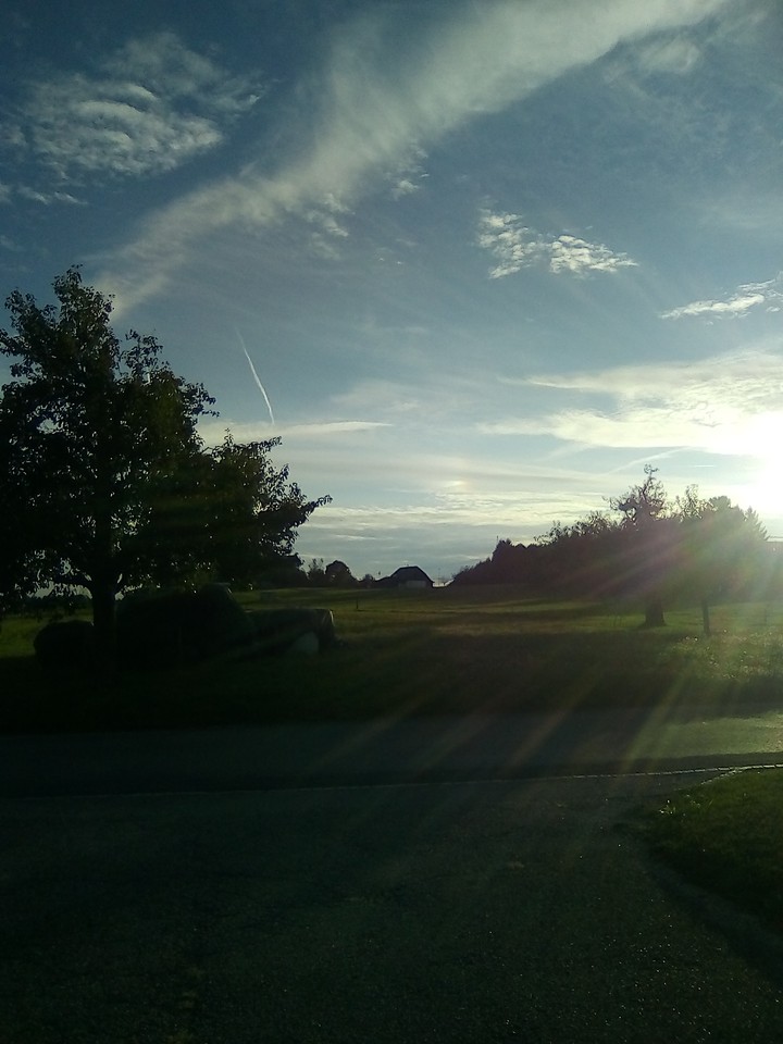 Sunshine