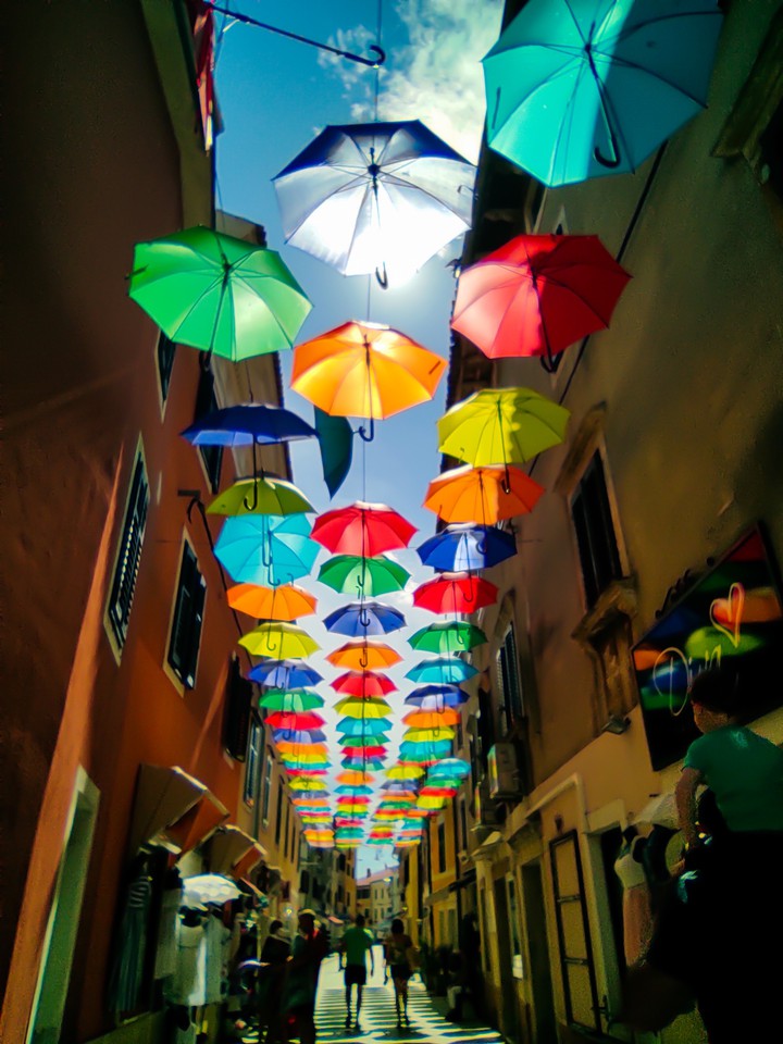 wow Umbrellas