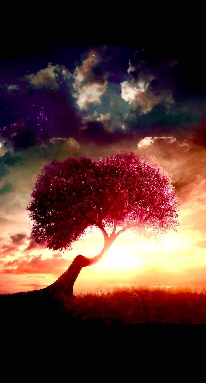 Fairy sunset