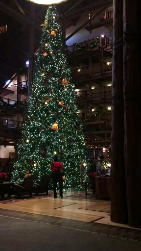 Aesthetic Navidad
