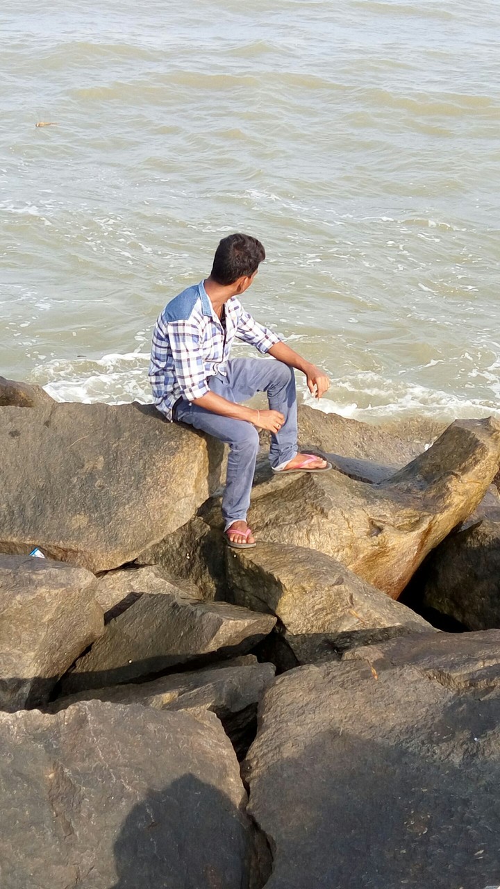 see