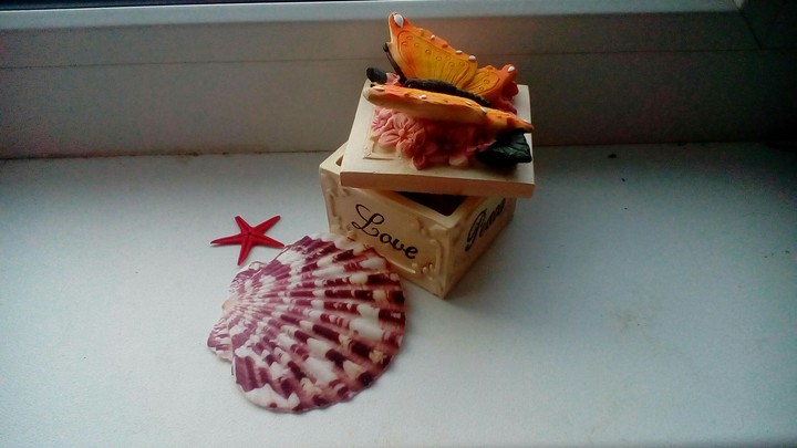 seashells...