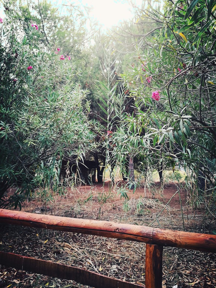 nature