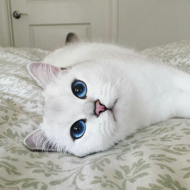 ❤