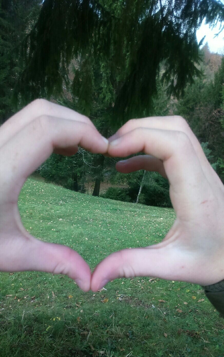 heart