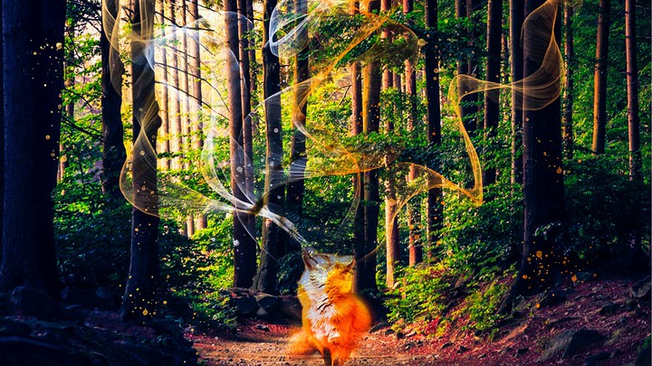 This art made by ☬ FOX