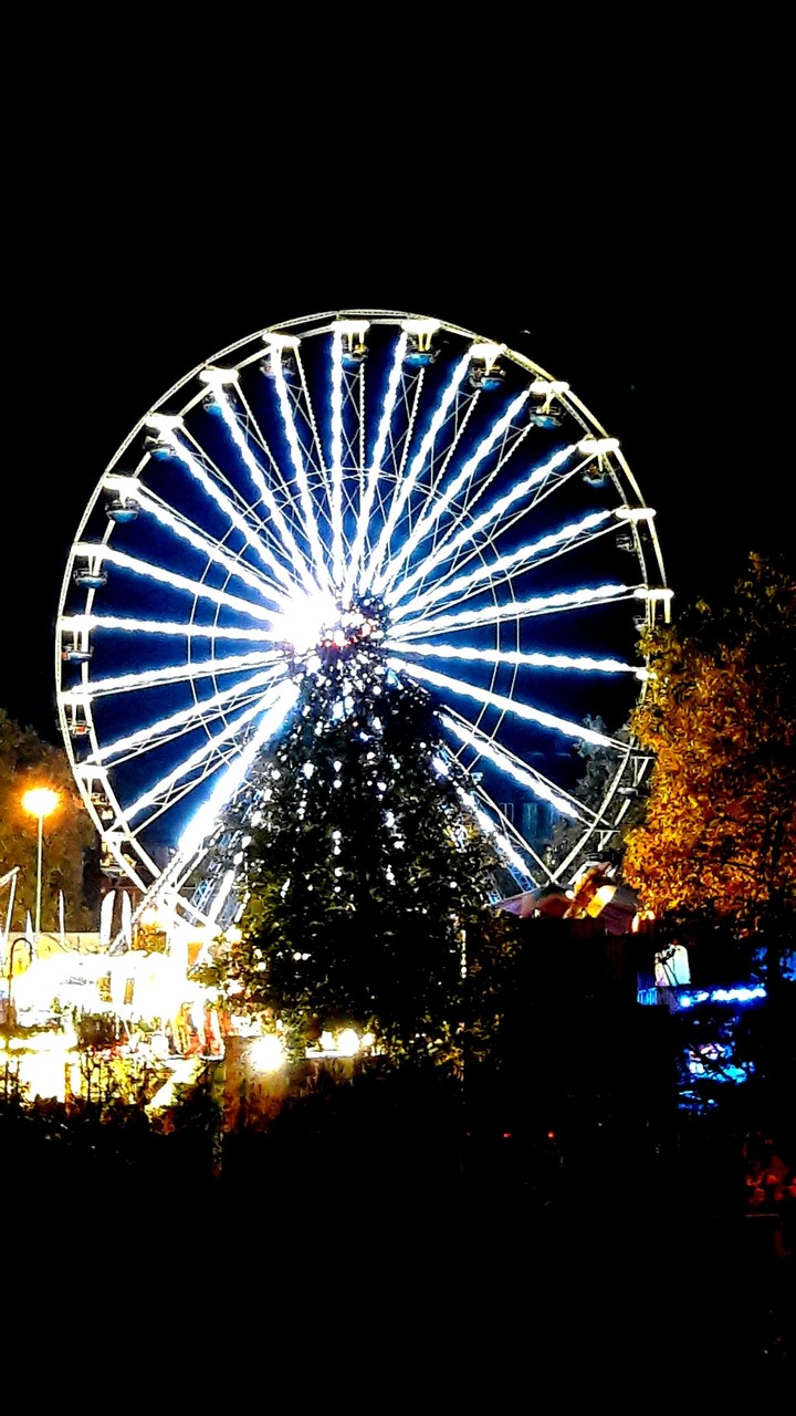 merry go round