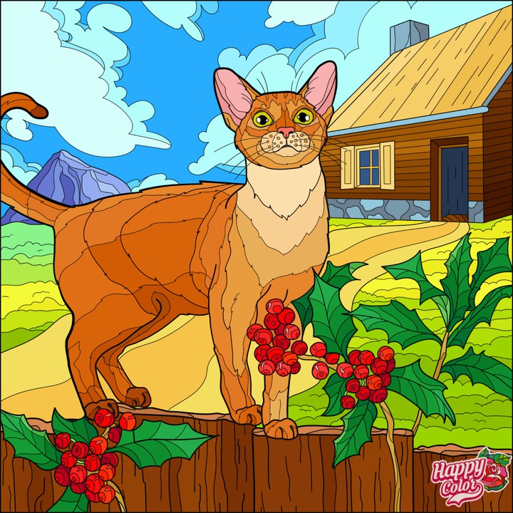 gato