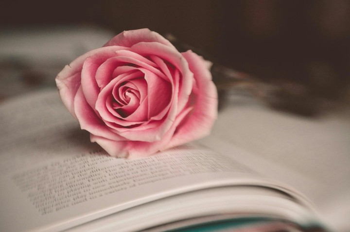rose poem