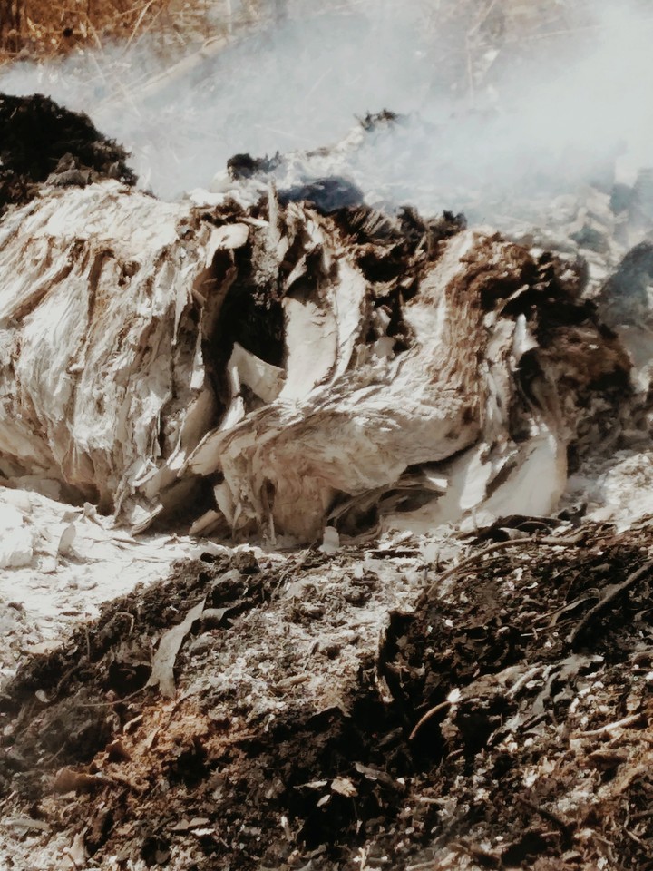 smoke
