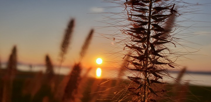 Balaton