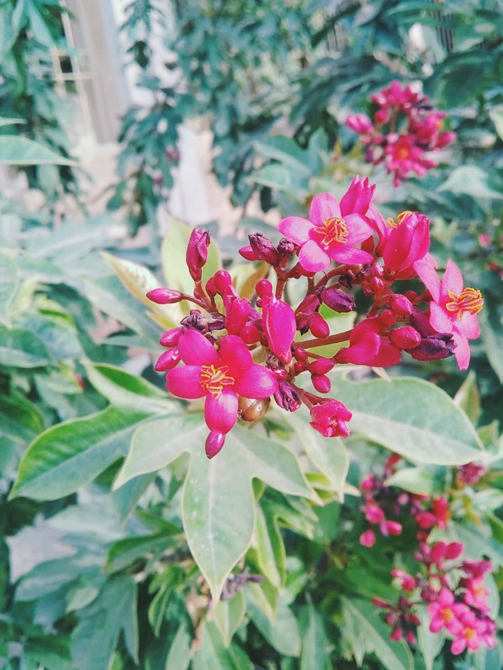 MY PHOTOGRAPHY