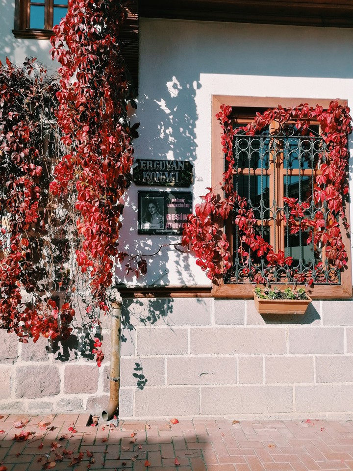 Hamamönü