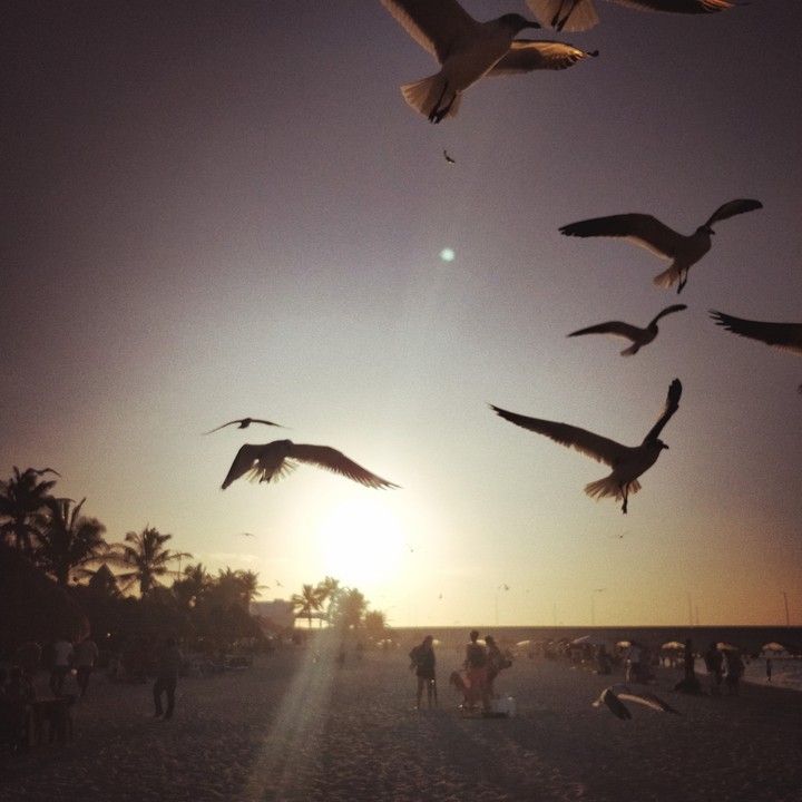 Sunny day