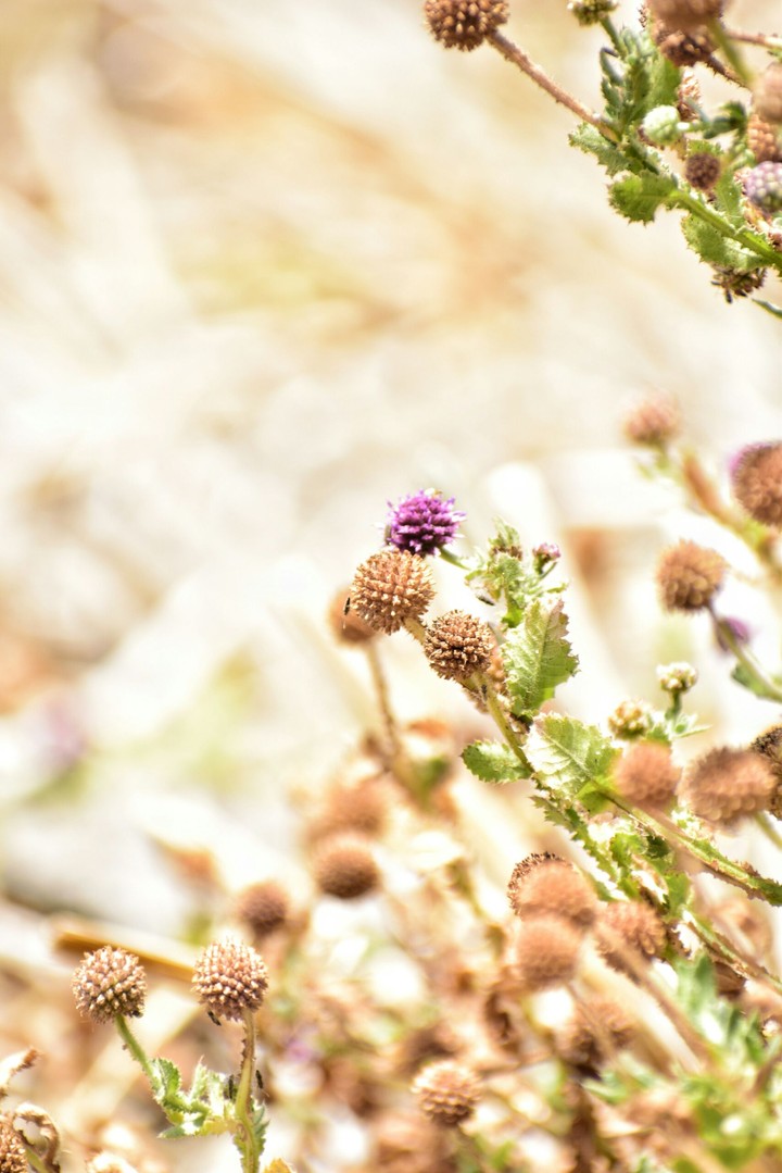 a fresh day