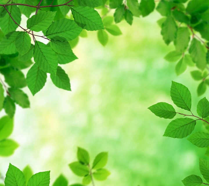 green nature