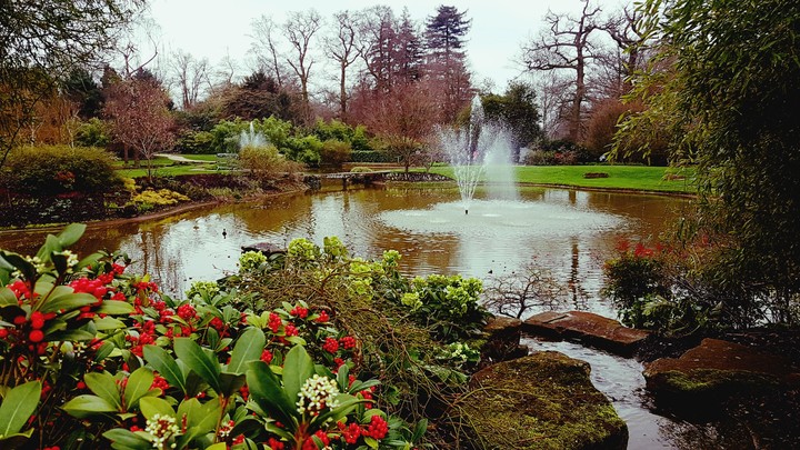 Secret Garden #2
