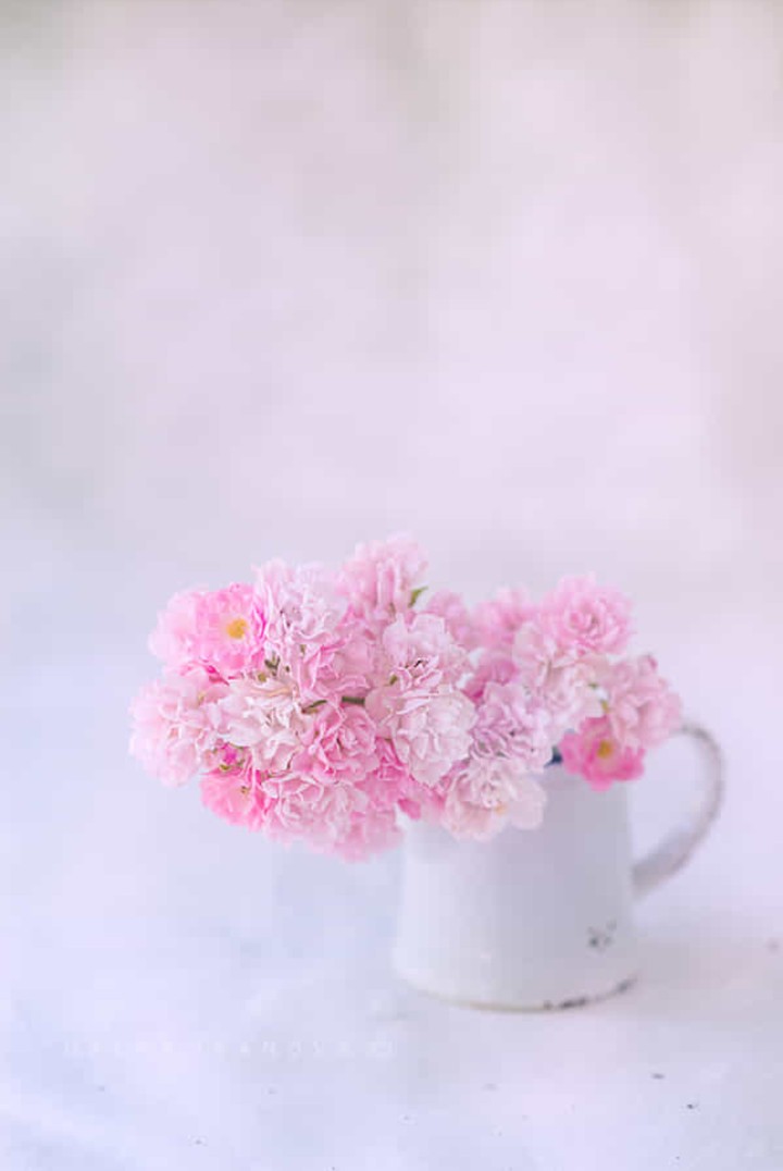 shabby Roses