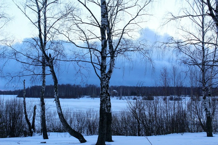 Russian nature by margoshagl
