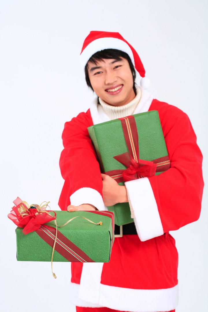 Christmas Costume