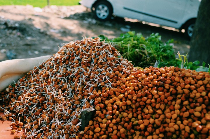 Black Gram Sprouts