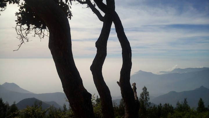 Nature