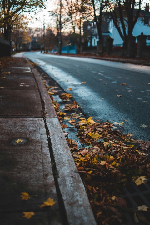 morning, asphalt wallpapers