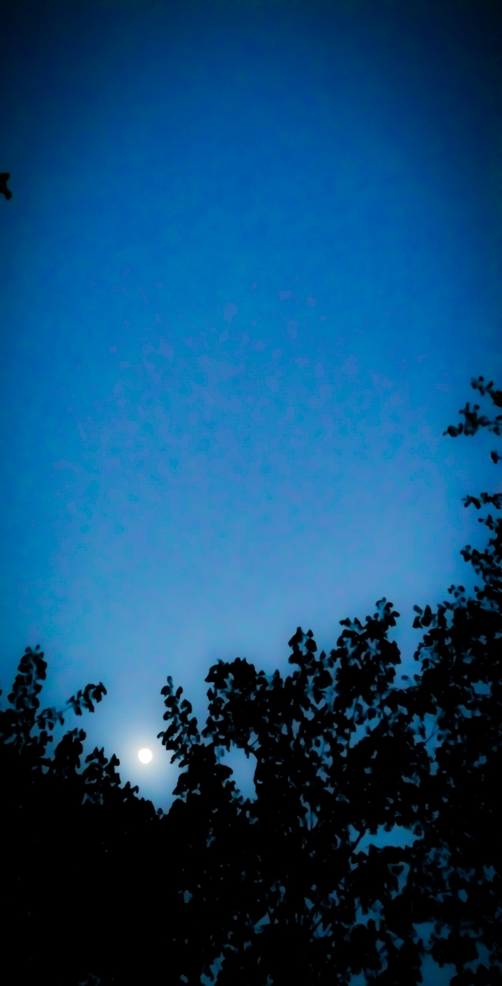 dark night