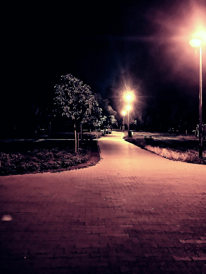 Night