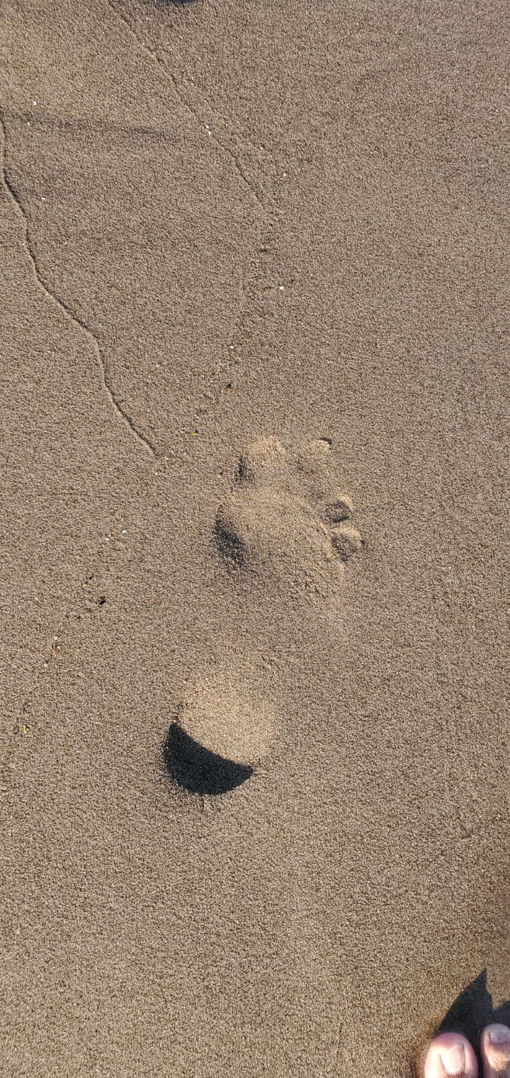 step