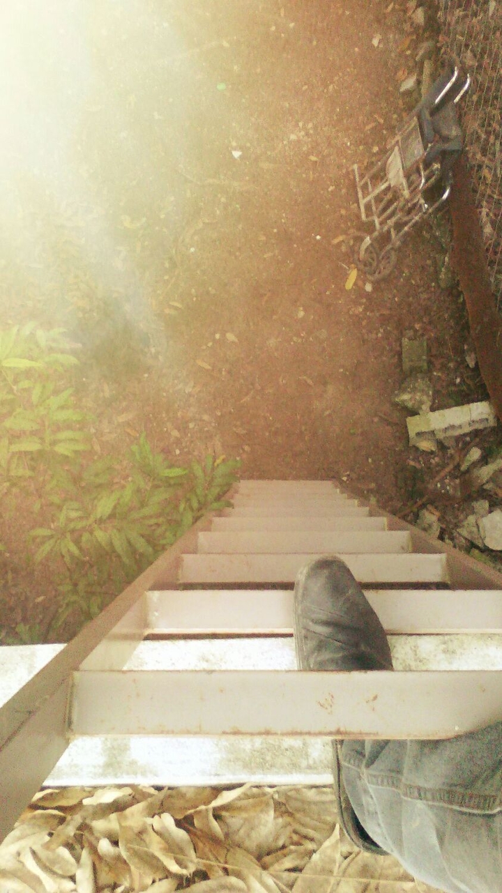 Escalera