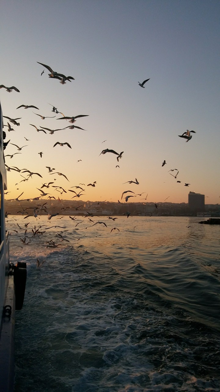 batı