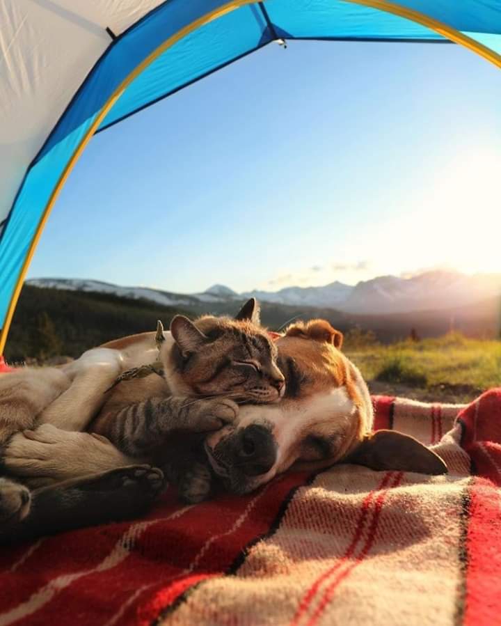 rest