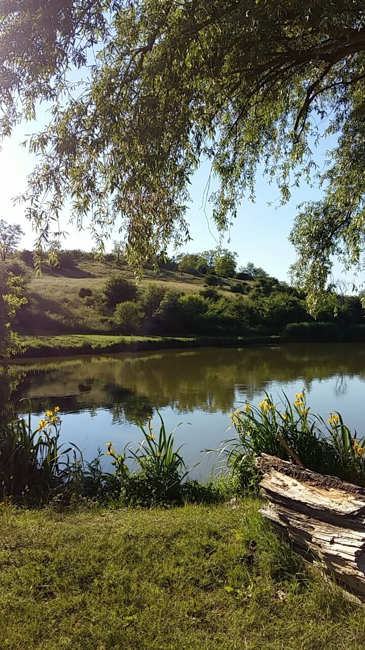 summer