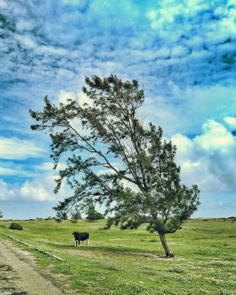 Natureza
