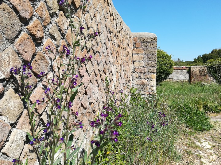 Ostia antica