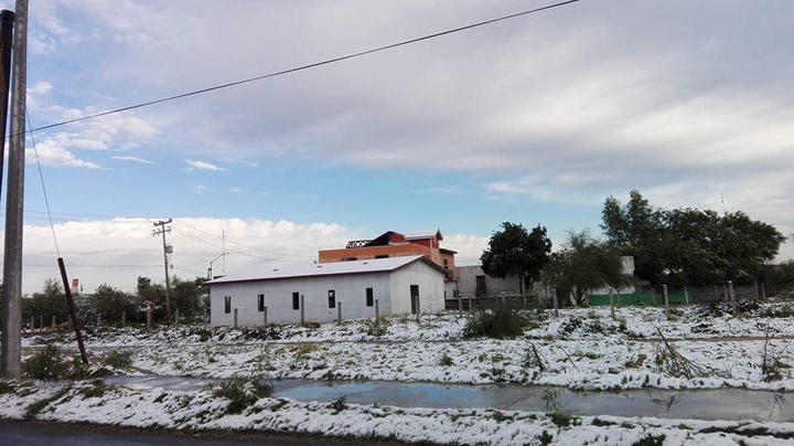 hause winter